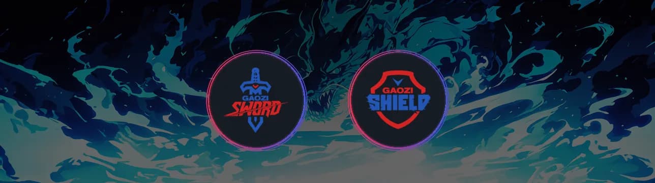 Gaozi Black Sword VS Gaozi White Shield