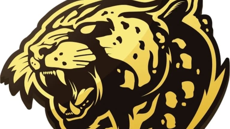 Bushido Wildcats приглашены на BETBOOM Rise of Legends Season 11